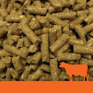 Gold Deluxe Pellets