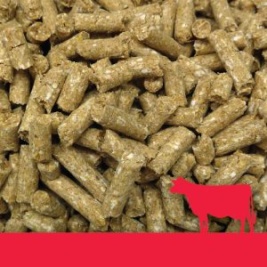 Ready Pellets