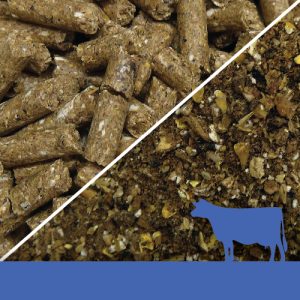 Spring Pellets