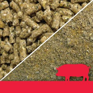 Pig Pellets