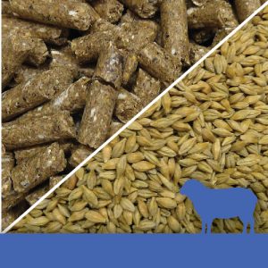 Sheep Pellets