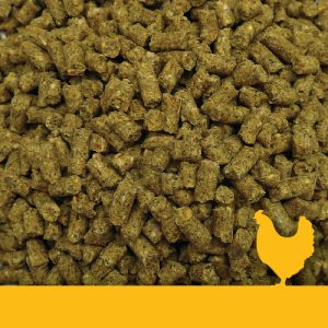 Golden Yolk Layer Phase 1 Pellets
